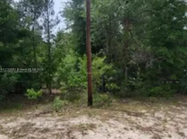 111 George Dr, Interlachen, FL 32148