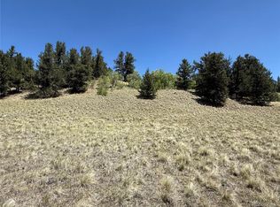491 Abandoned Rail Rd, Fairplay, CO 80440