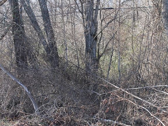 4th image of Trs 1 2 17410 Self Hill Dr