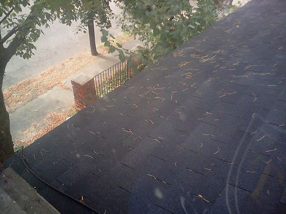 5th image of 1803 E 4th St