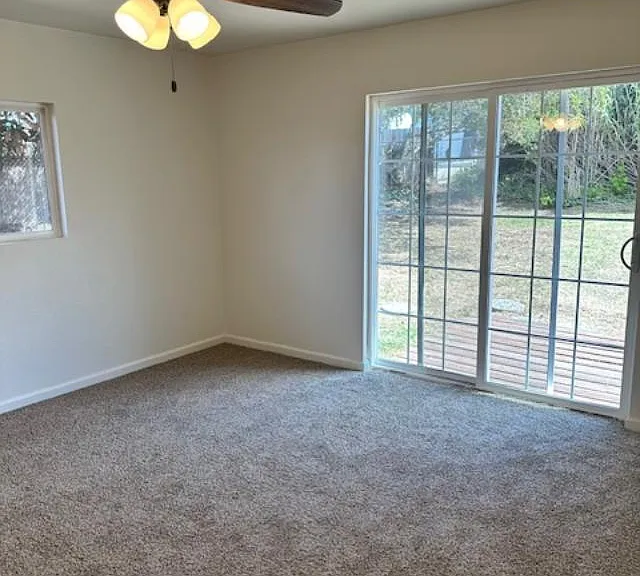 1184 Palm Ave — Photo 5
