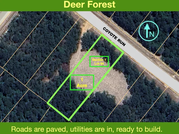 54 Coyote Run Lot 44, New Waverly, TX 77358