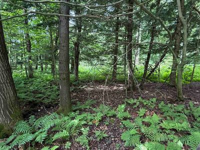 1386 Clif Reynolds Road, Cambridge, VT, 05444