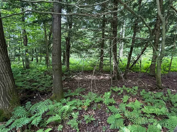 1386 Clif Reynolds Road, Cambridge, VT 05444