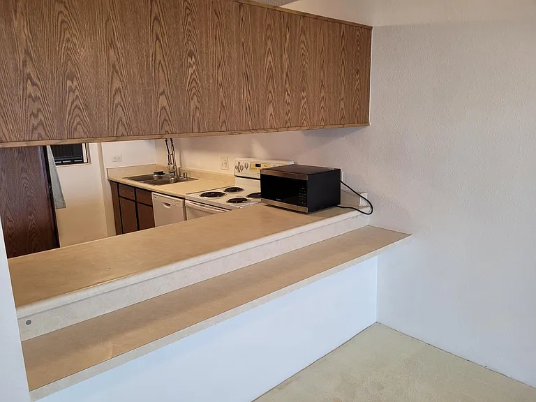 Kitchen counter