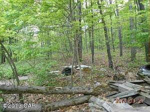 325 Ben titus road wooded acrage