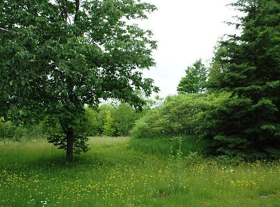 2nd image of Bay View Rd