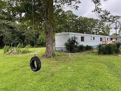 Tire swing on Pecan Tree. (palms trees and sand will be cleaned up)