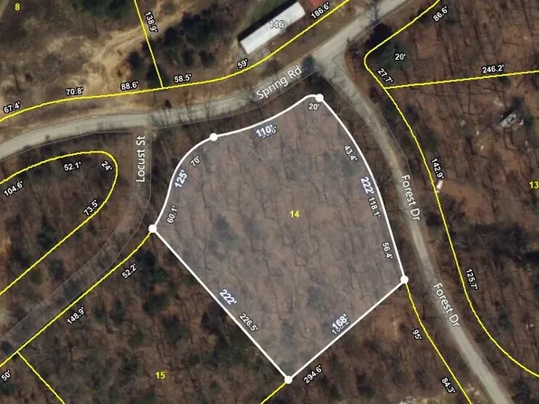 0 Spring Rd N, Spring City, TN 37381