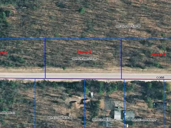 PARCEL 1 Cobb Rd, Lewiston, MI 49756