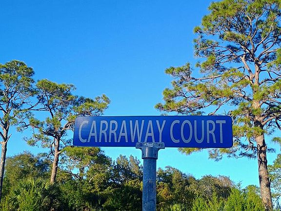 5th image of 1562 Carraway Ct