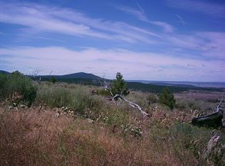 66 Otter Ln, Alturas, CA 96101