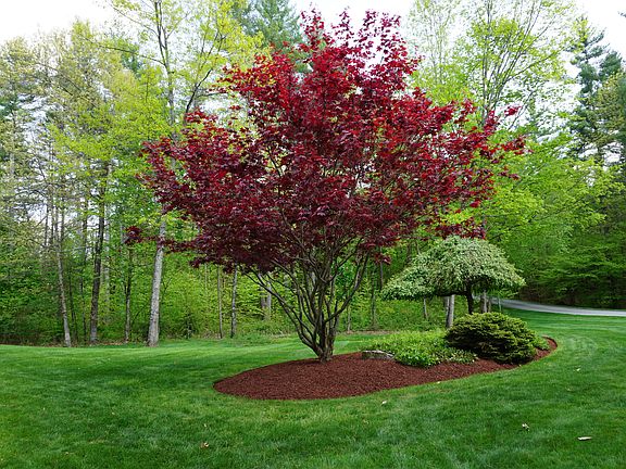 Beautiful Private Setting