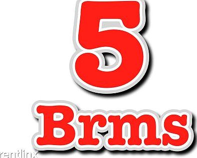 BXrental 5 Brms Red