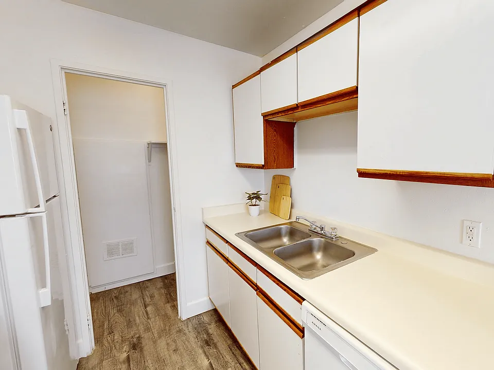 Double Basin Stainless Steel Kitchen Sink