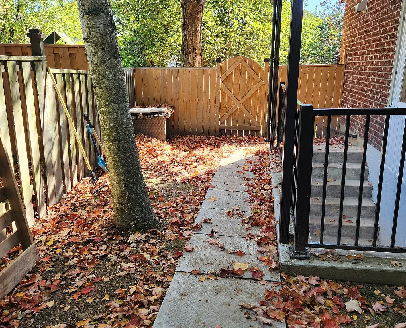 2 bed, $1,800 — Photo 2