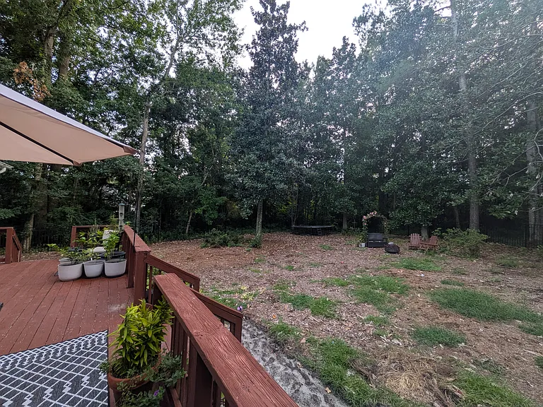 Backyard
Fully fenced backyard surrounded by mature trees for exceptional privacy. The property extends beyond the fence and feels like your own private forest while remaining close to shopping, schools and the beach.