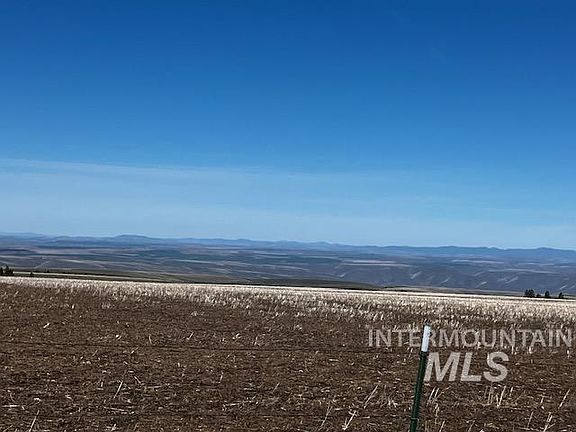 4th image of 2891 Peola Rd
