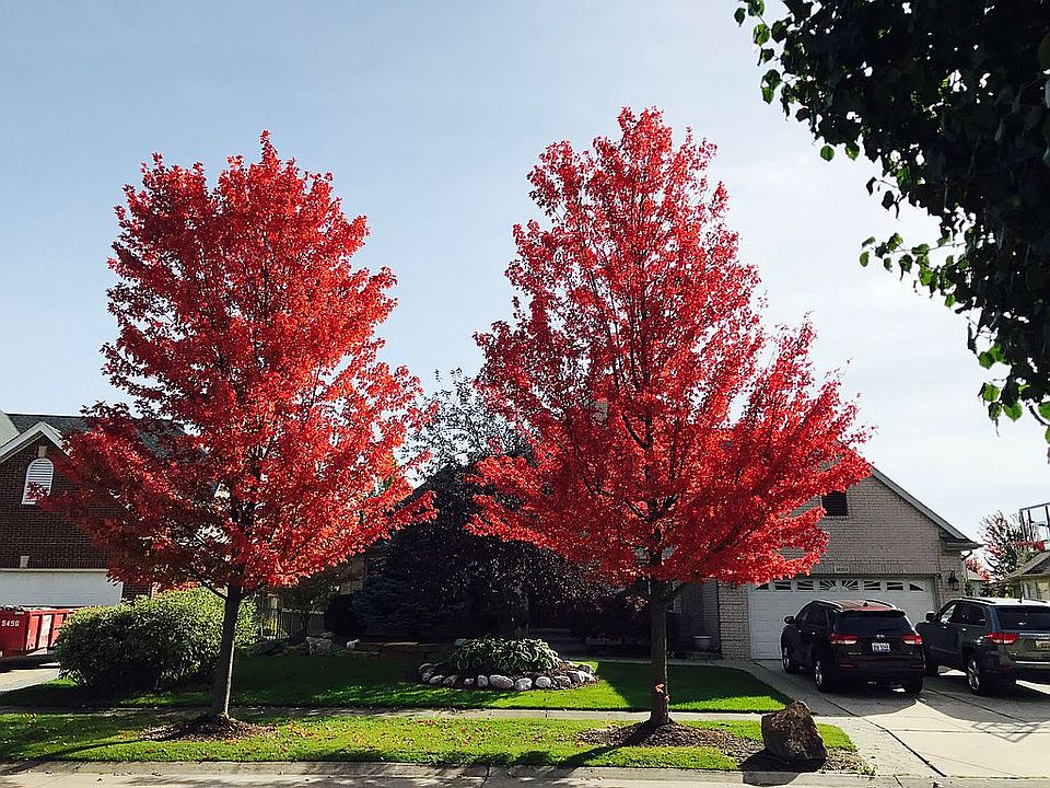 1st image of 48584 American Elm Dr