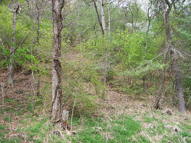 1st image of Lot 9a Spur Branch Road