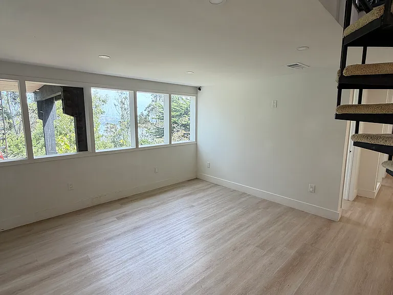 Lower level living room