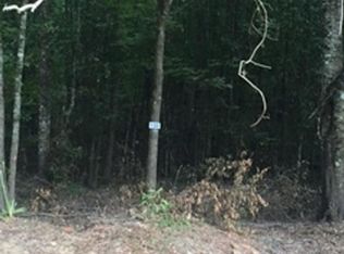 LOT 132 Gunboat Landing Rd, Maurepas, LA 70449