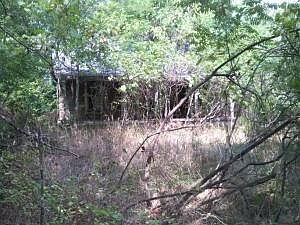 2nd image of Locust Rd