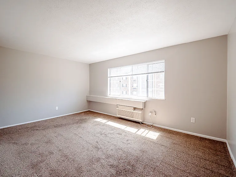 Natural Light Fills the Space