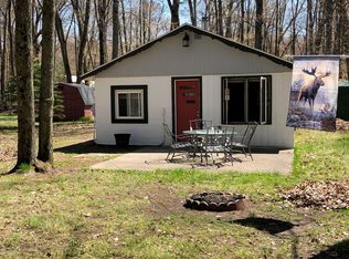 1135 Wolf Lake Dr, Baldwin, MI 49304