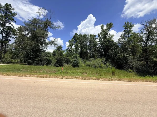 12075 High Branch Way, Willis, TX 77378