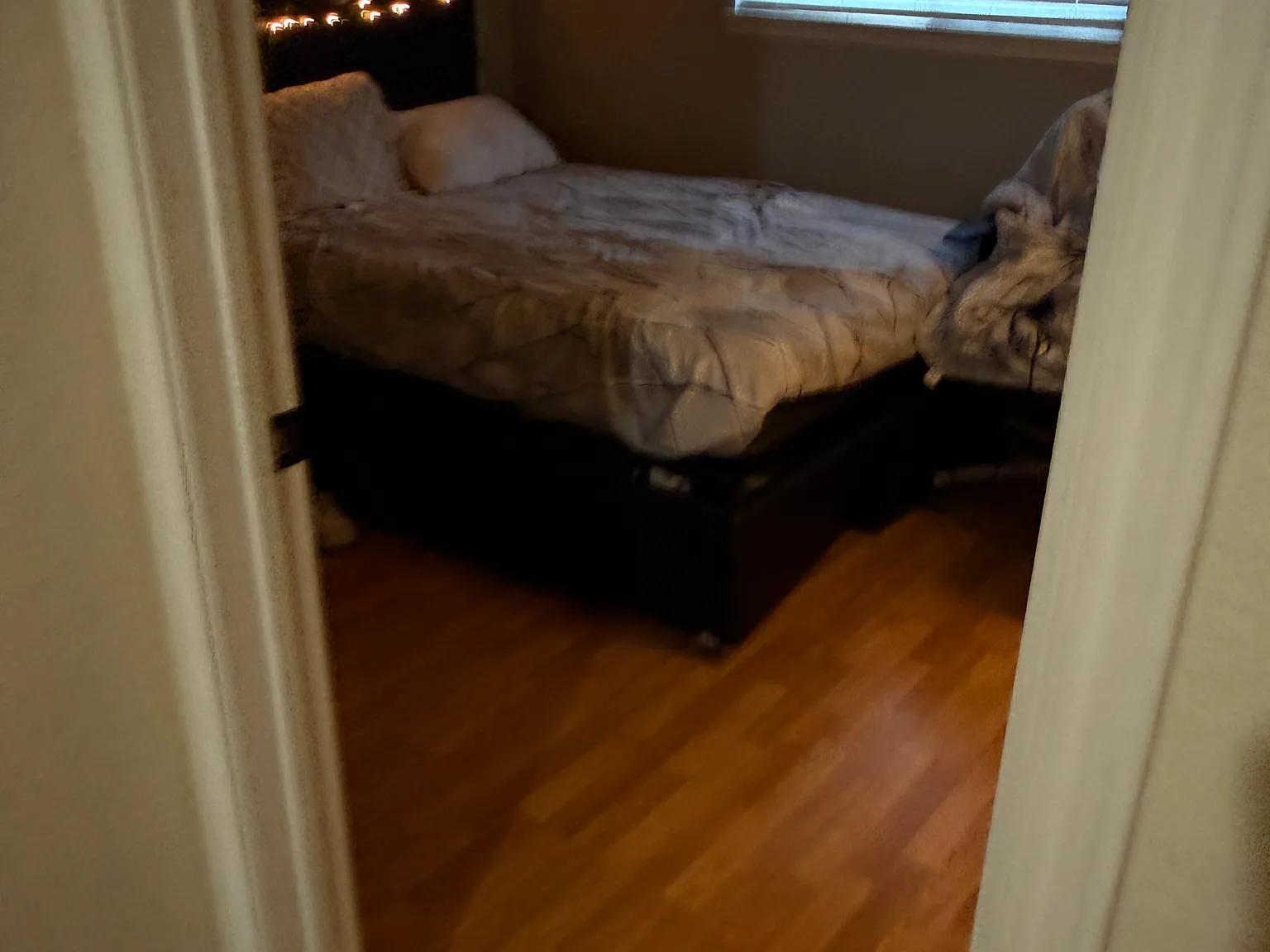 3 bed, 1355 sqft, $2,100 — Photo 4