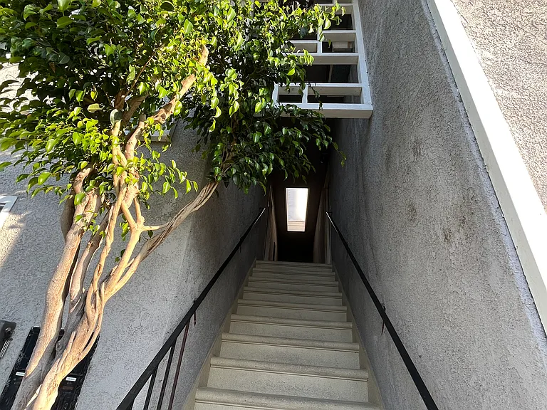 834 Green St #4 — Photo 2