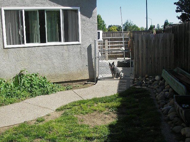 2nd image of 519 Tipperary Dr