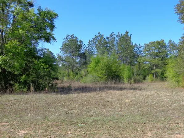 599 Campbell Ln, Alford, FL 32420