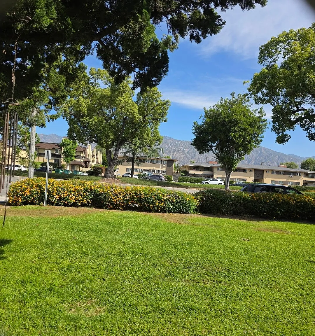 2 bed, 1200 sqft, $2,550 — Photo 2