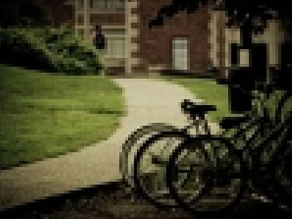 Bike Rack