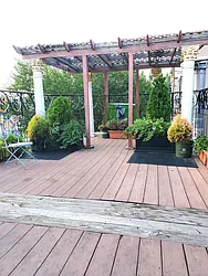 Rented by Location Location Location