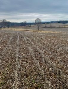 11631 Rankin Rd, Mount Perry, OH, 43760