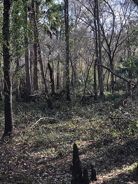 2nd image of 12471 S Us Highway 301