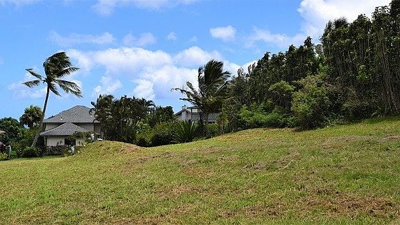 3rd image of 4387 Panui St Lot 5