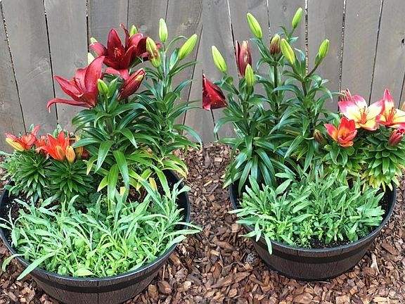 48105ED4-EAB8-4398-8ED4-38DCEFA15353