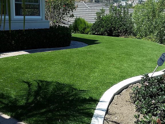 Front Yard