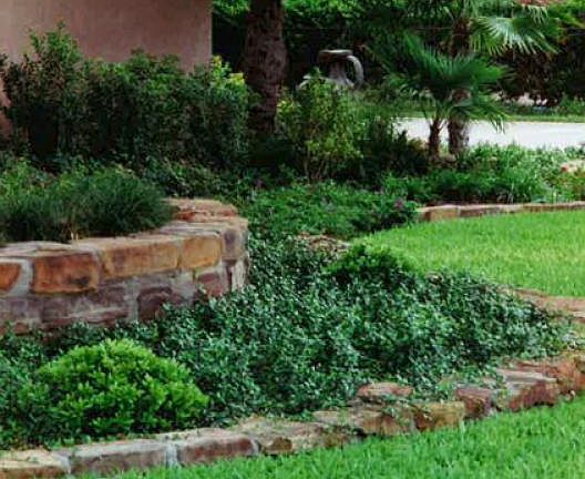 5th image of 1918 S Concho Dr