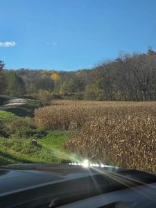 Country Ct #45, Red Wing, MN, 55066