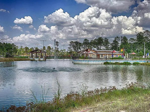 51 Wyatt Oaks Dr, The Woodlands, TX 77375