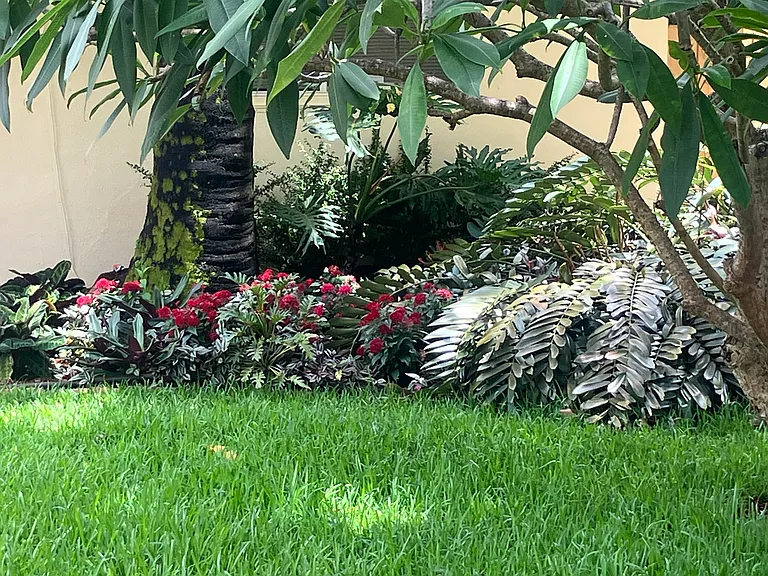 New lawn and landscaping