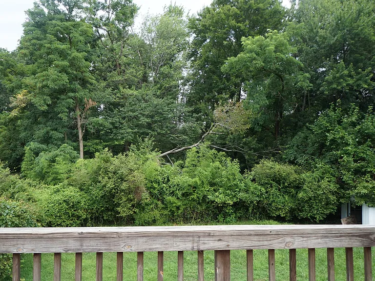 Backyard view from Deck