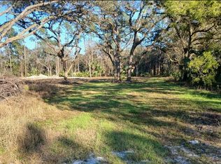 1013 Cupid Ave Lot 2, Christmas, FL 32709