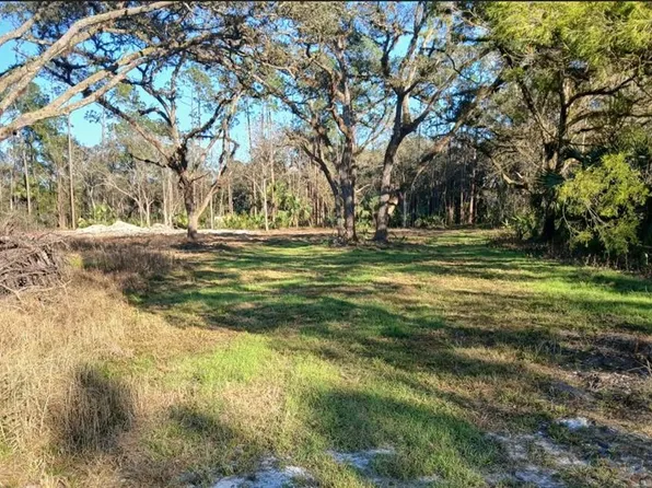 1013 Cupid Ave Lot 2, Christmas, FL 32709