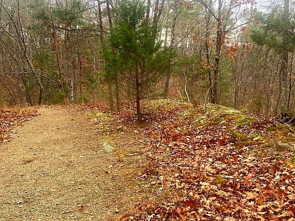 5th image of Spitz Ln